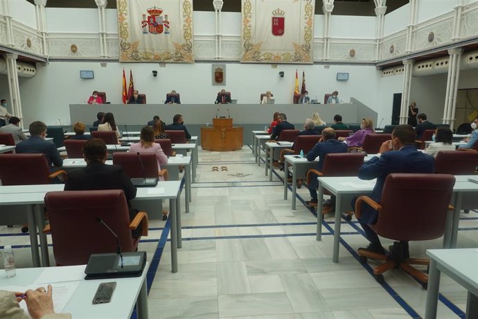 El pleno de la Asamblea aprueba el dictamen del proyecto de ley de Mitigación del Impacto Socioeconómico de la Covid-19 en las áreas de vivienda e infraestructuras