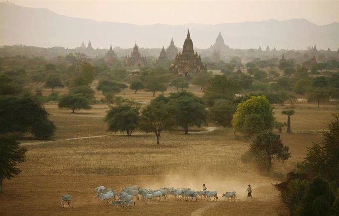 Pagodas en Bagan (Birmania)
