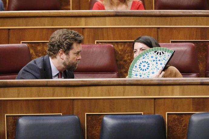 Los diputados de Vox Iván Espinosa de los Monteros y Macarena Olona