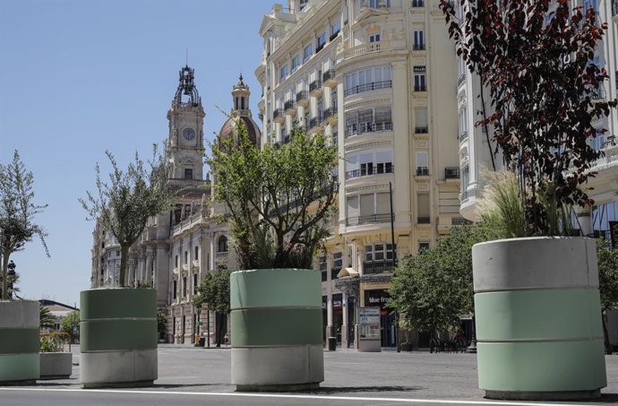 Maceteros colocados en la plaza del Ayuntamiento de Valncia