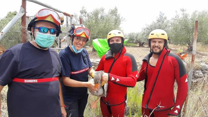 Los bomberos han rescatado en la localidad valenciana de Navarrés a una oca que había caído en una balsa de riego.