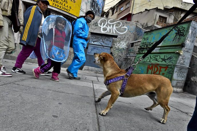 01 June 2020, Bolivia, La Paz: People walk past a person walking his dog on the street after the relaxation of restrictions that were imposed to curb the spreading of coronavirus. Photo: Christian Lombardi/ZUMA Wire/dpa