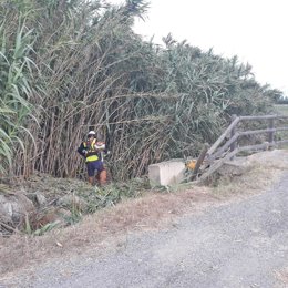 Cádiz.- La Junta comienza los trabajos de acondicionamiento de dos cauces en Rot