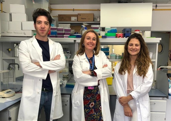 Granada.- Una proteína responsable de la metástasis en tumores también provoca a