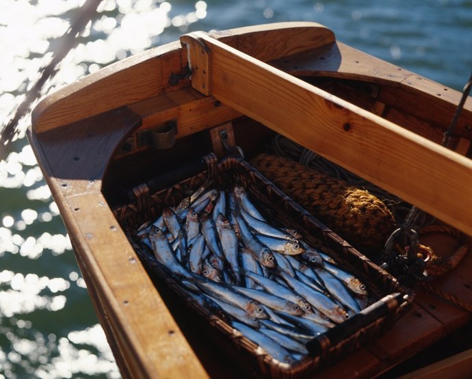 Economía.- Carrefour se alía con el sector pesquero de Cádiz para comprar boquerón mediano 