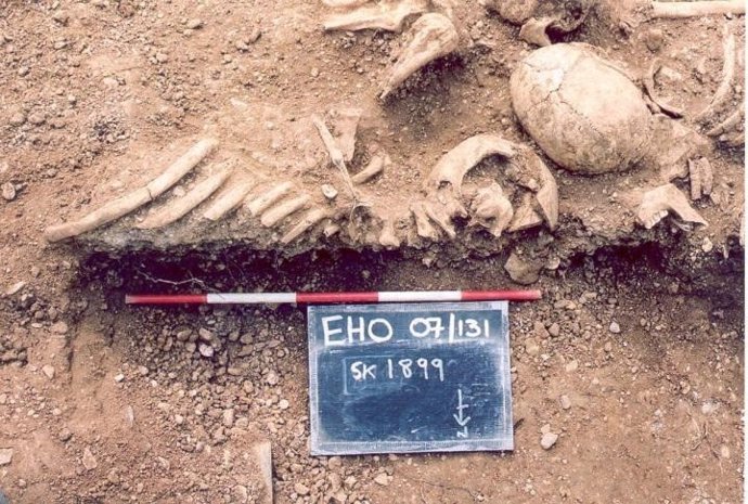 Restos de vikingos  del siglo X encontrados en una fosa común en el St John's College de Oxford.