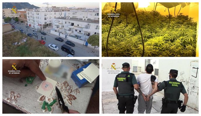 Collage que muestra distintas fases de la explotación de la operación