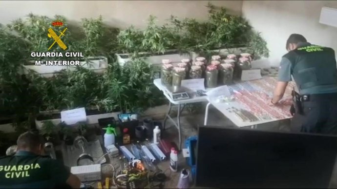 Plantación Indoor de marihuana en una vivienda de Moguer.