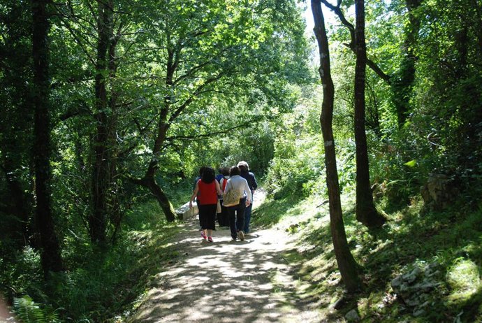 Paseos organizados por el Museo Altamira