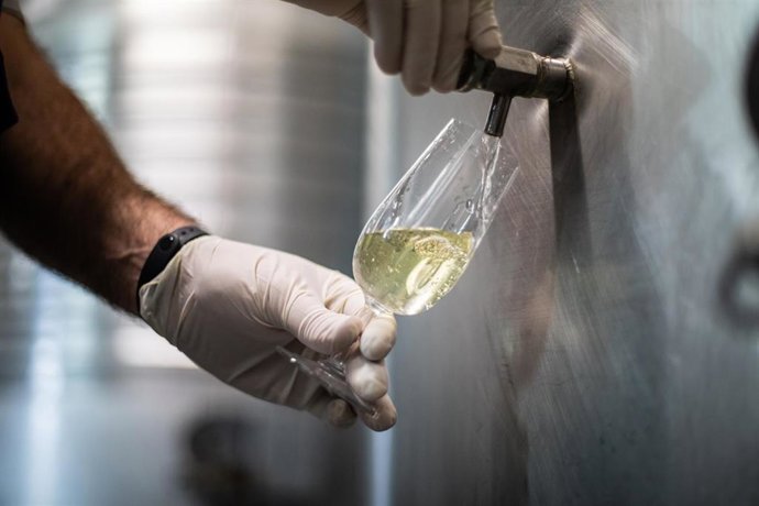 Un trabajador de la empresa Txakoli Txabarri denominación de origen 'Vinos de Euskadi' sirve en una copa vino blanco de una barrica de su bogeda.  