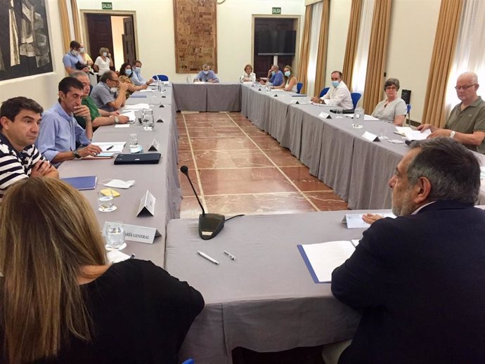 Pleno del Consejo Económico y Social de la Provincia de Huelva (CESpH)