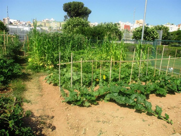 Huertos Urbanos.