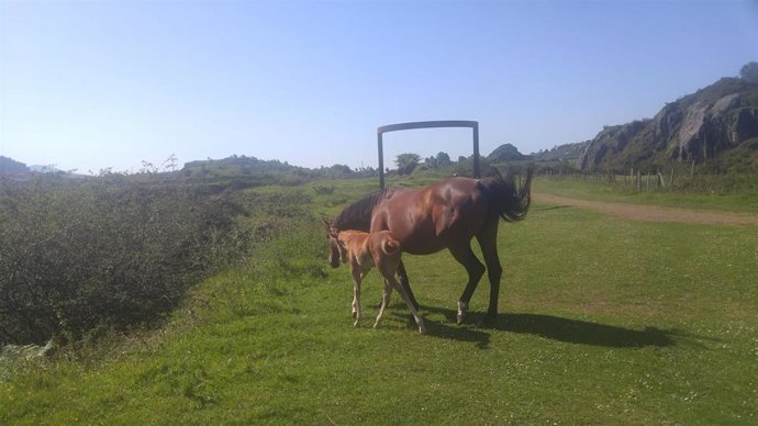 Cielo soleado en Trapagaran (Bizkaia)