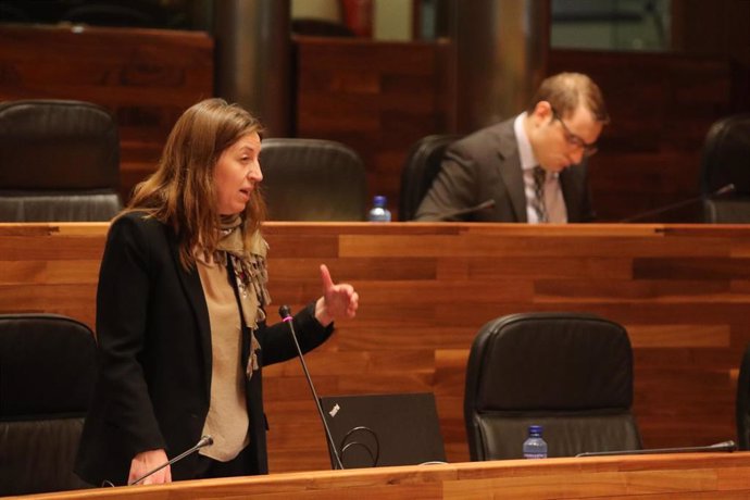 La diputada portavoz de Podemos, Lorena Gil, interviene en el Pleno de la Junta General.