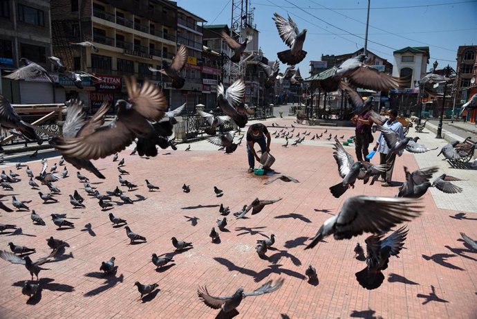 Coronavirus en Srinagar, Cachemira india