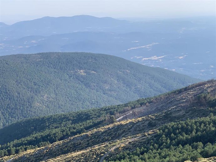 Estado actual de la zona afectada