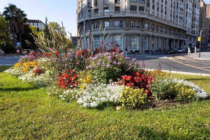 Más de 12.000 nuevas plantas con flor embellecen diferentes zonas de Zaragoza.