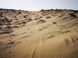 Marcas del vehículo en la arena