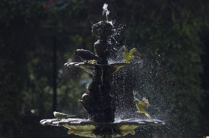 Fuente durante ola de calor