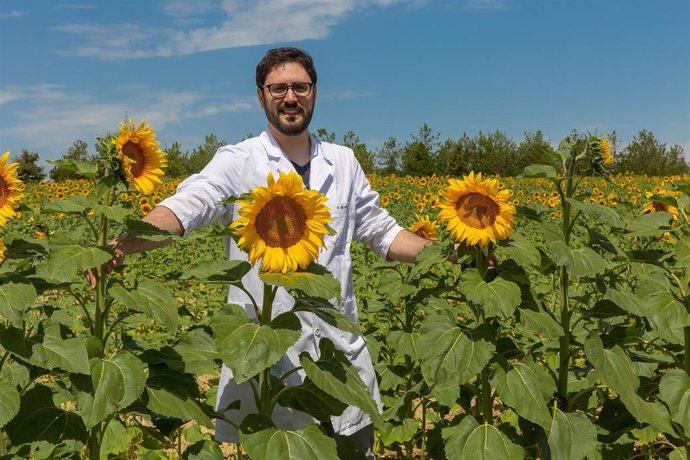 El investigador de la Universidad de Navarra David de Hita.