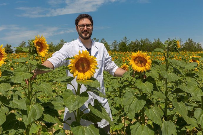 Una investigación de la Universidad de Navarra propone mejoras para la producció