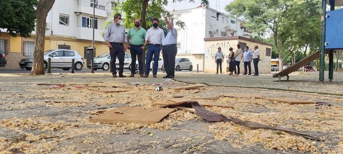 El portavoz del PP, Beltrán Pérez, en San Jerónimo