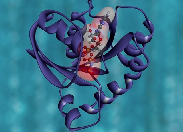 Modelo de cinta de una proteína.