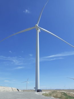 Parque eólico Dehesa de Mallén, en la provincia de Zaragoza.