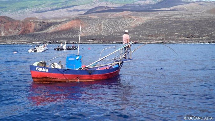 Representantes de pesca artesanal y buceo recreativo de El Hierro crean una asoc