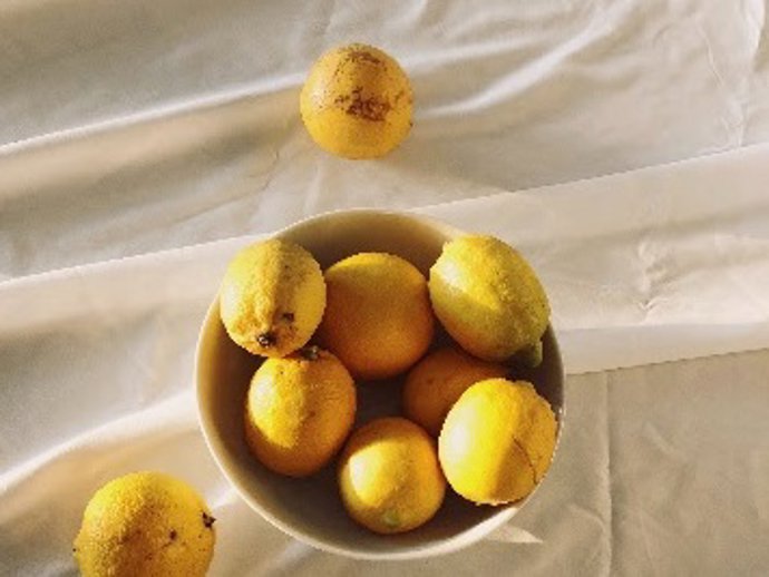 ¿Por Qué El Limón Es El Cítrico De La Temporada? Te Lo Descubrimos
