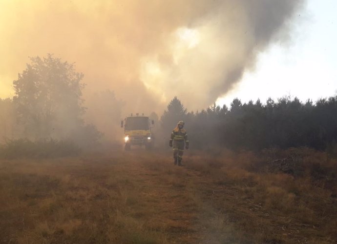 Incendio forestal en Vega de Magaz (León).