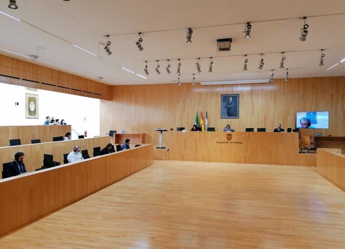 Pleno de la Diputación de Málaga a 17 de junio de 2020 