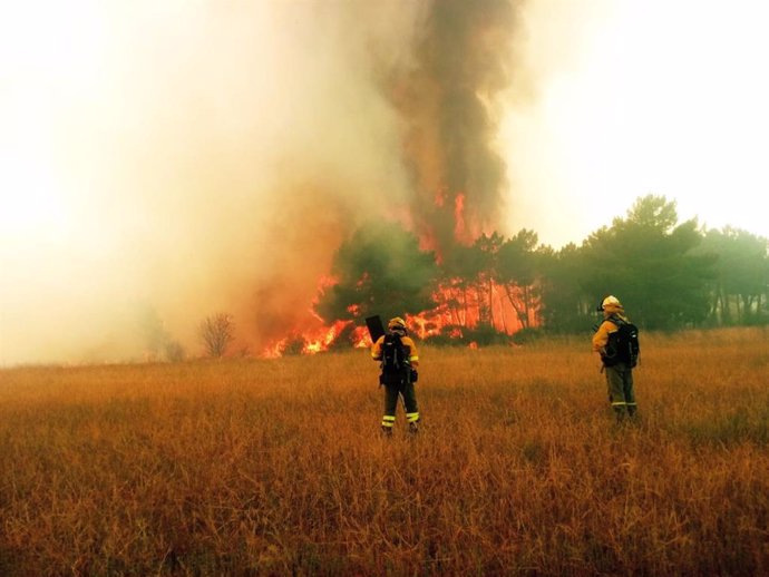 El operativo contra incendios trabaja para sofocar el incendio de Villamejil (León).