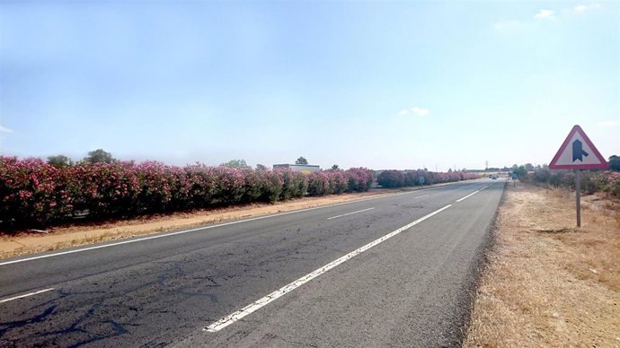 Imagen de carretera sobre la que se analizó su estado de conservación y mantenimiento