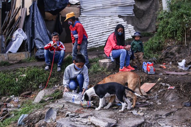 A boy watering dogs in a slum in Bogota