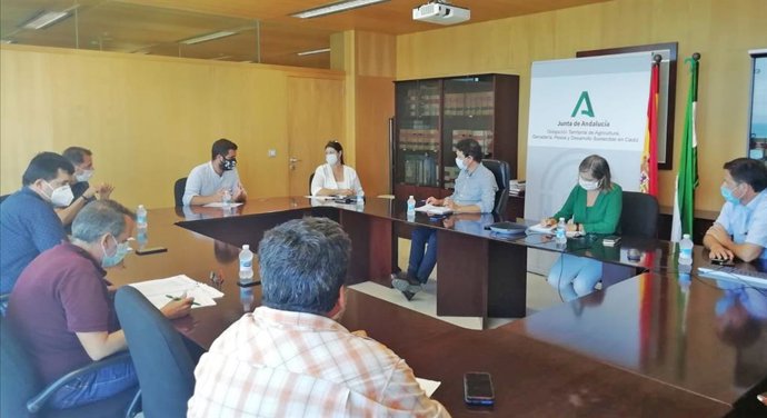 Cádiz.- La Junta trabaja en desbloquear el proyecto All-Gas en Chiclana