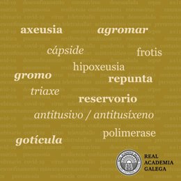 Nuevas plabras incorporadas al diccionario de la RAG