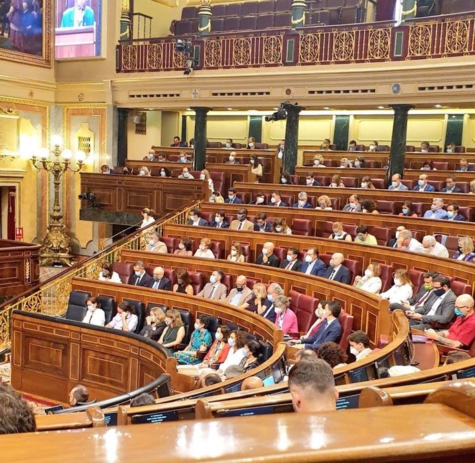 Imagen de los diputados del PSOE en el último Pleno del Congreso antes del parón estival
