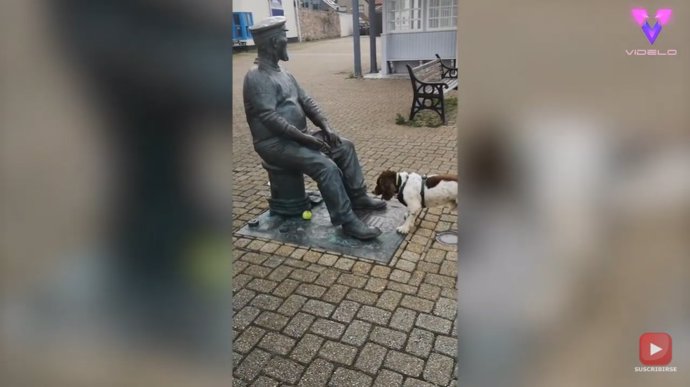 Este perro intenta jugar a la pelota con una estatua después de confundirla con una persona