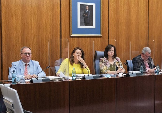 Imagen de este miércoles de la comparecencia en comisión de la consejera de Agricultura, Carmen Crespo.