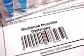 Foto: Identificar la enfermedad de Duchenne en niños: cuando la pérdida de fuerza y la debilidad muscular aparecen