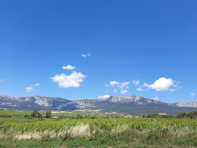 Viñedos en Laguardia, Rioja Alavesa, con la Sierra de Cantabria al fondo