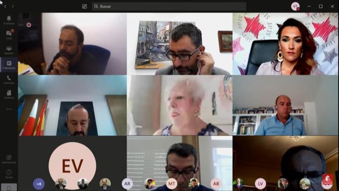 Pleno telemático de Torrelavega