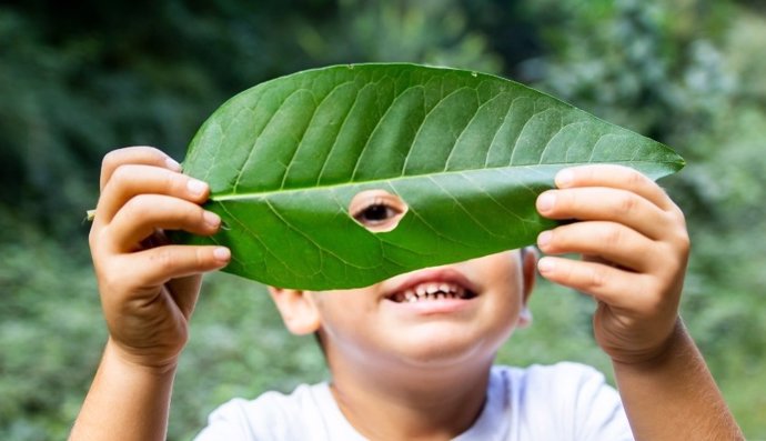 Las compañías farmacéuticas logran reducir más de 178 toneladas de materiales gracias al ecodiseño de los envases