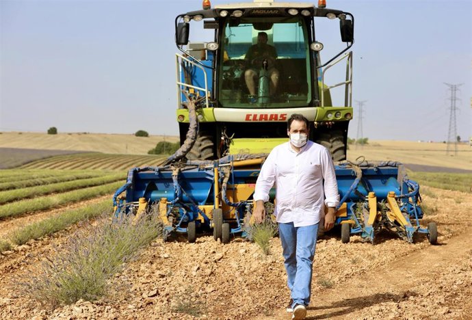 El presidente del PP de C-LM, Paco Núñez, visita los campos de lavanda en Almadrones (Guadalajara).