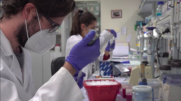 Investigación en la UPV
