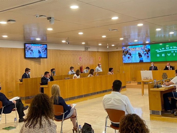 Pleno de la Diputación de Sevilla