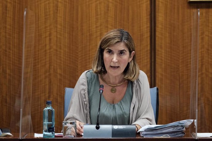 La consejera de Empleo, Rocío Blanco, este jueves durante su comparecencia parlamentaria en comisión.