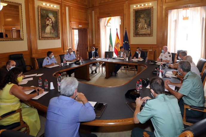 Junta local de seguridad en Marbella