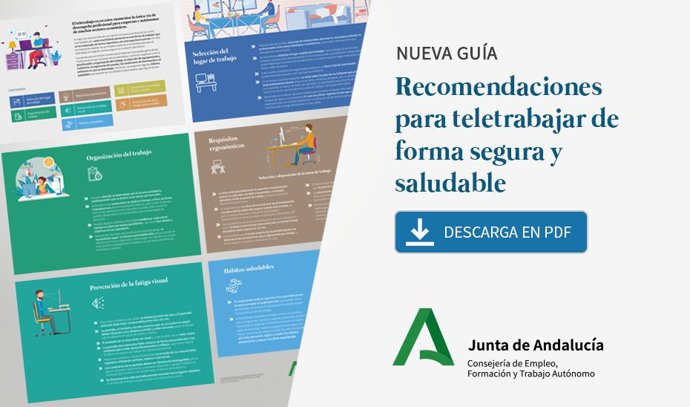 Imagen de la guía de recomendaciones para el teletrabajo de la Consejería de Empleo.